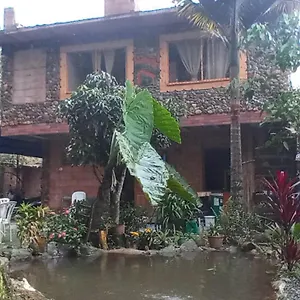 Bosques Del Rio
