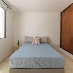 게스트하우스 Casa De Flores En