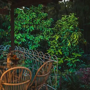 Apartment Apto Br 6 Min De Provenza, Encanto Natural Medellin