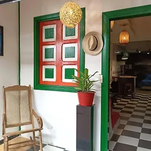 Guadalupe 101 *
