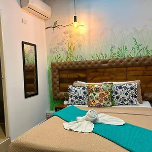Hostel Boutique La 10 *
