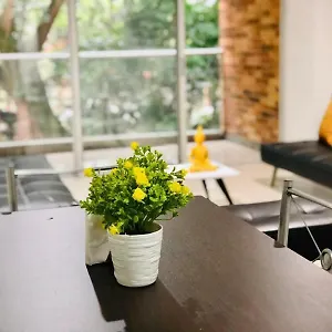 Apartamento Tolupa