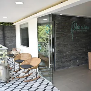 Boutique Nido De Loros *