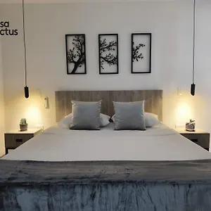 Kasa Cactus Laureles, Medellín