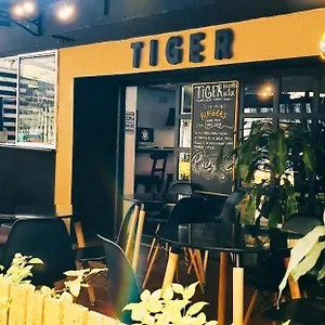Tiger *