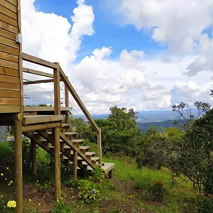 Terravista