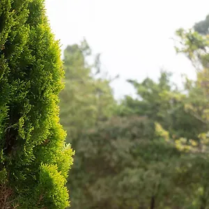 Cabana El Cielo بيت للعطل ميديلين