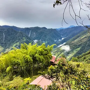 Sierra De Viboral Adventures 메딜린