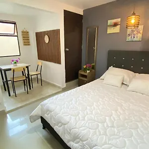 33 Comodo Laureles Estadio 3 3 Banos ميديلين