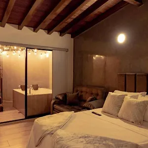 202 Romantic Loft With Jacuzzi Apartment