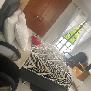 Oasis2023 Appartement *
