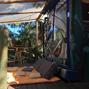 El Bus Del Bosque Medellín