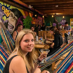 Purple Monkey Hostel Medellin