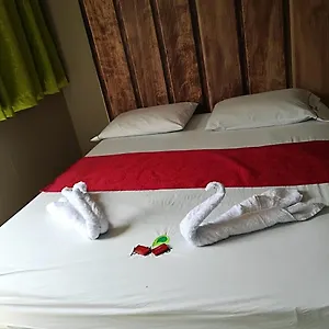 Paradise La 33 Hotel