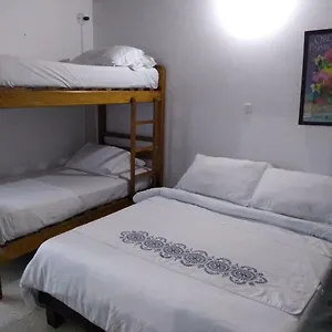 Palm Tree Hostel Hostel *