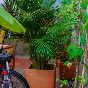Casa Cliche Medellín